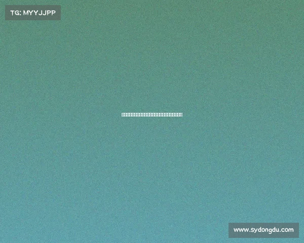 西甲足球文化：传承与创新下的激情碰撞与全球化视野